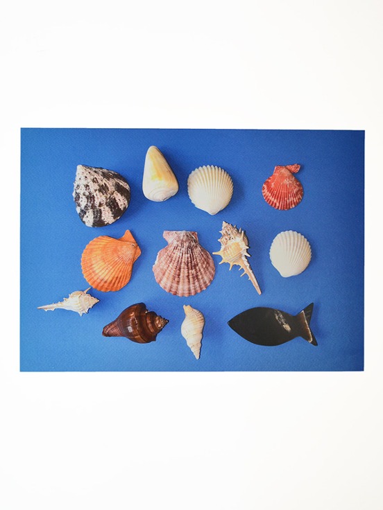 Shell series poster / blue